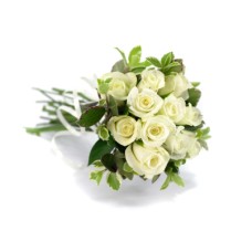 12 White Roses